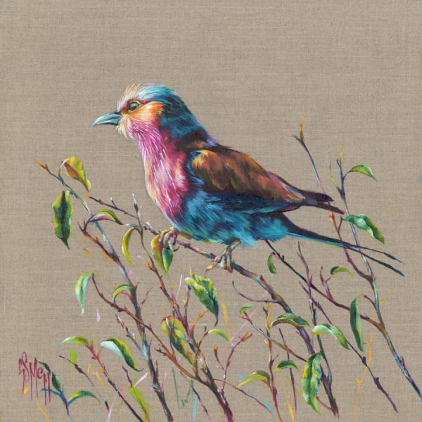Georgina McMaster, 1. Kambu (lilac-breasted roller)
