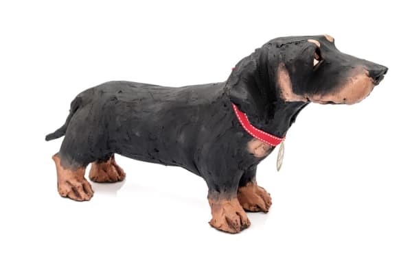 Olivia Brown, Dachshund