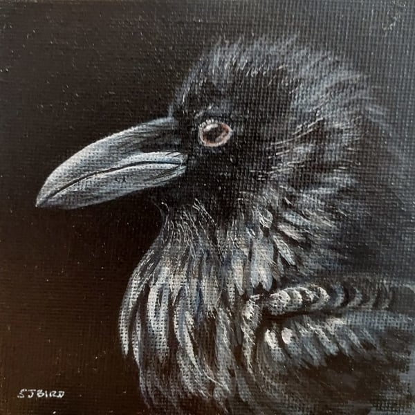 Stanley Bird, Nevermore