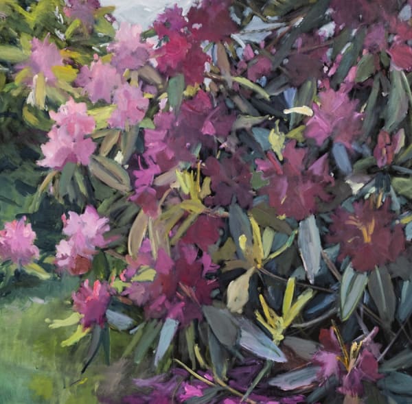 Marion Drummond, Rhododendrons of Carruth