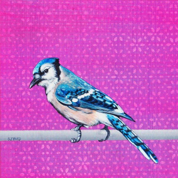 Stanley Bird, Blue Boy