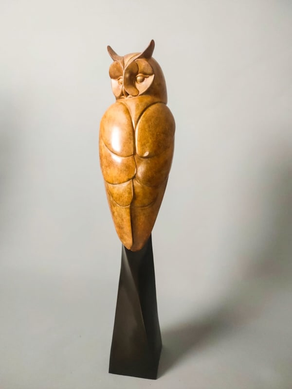 David Meredith, Long Eared Owl