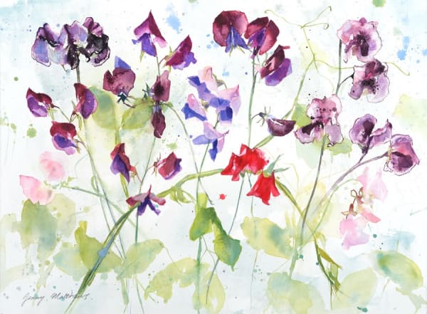Jenny Matthews, Sweet Peas in the Rain