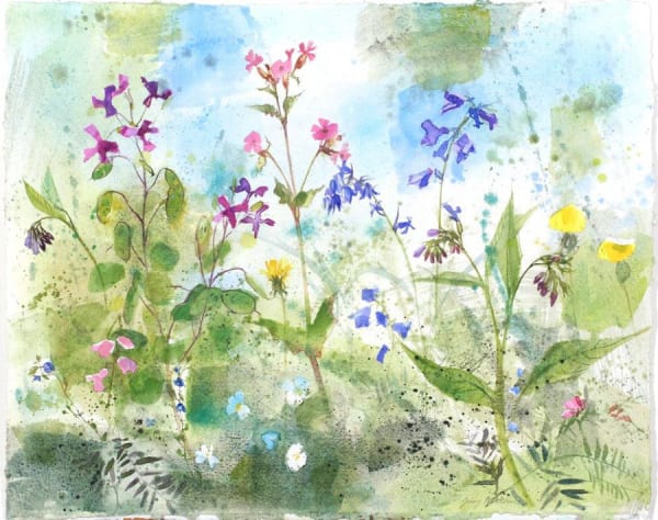 Jenny Matthews, Wild Hedgerow