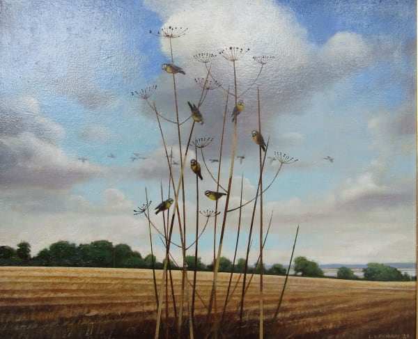 Louis McNally, Birds of a Feather