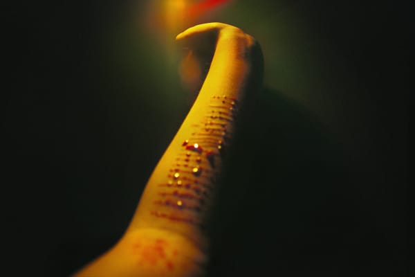 Chen Zhe 陈哲, The Bearable: Birthday 可承受的：祝生日, 2010