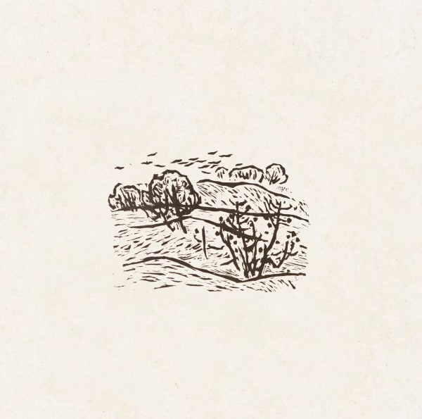 Xu Bing 徐冰, Late Autumn 晚秋, 1983