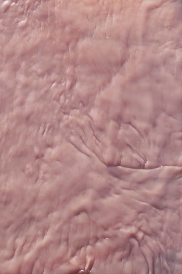 Chen Zhe 陈哲, Me You Us 3 我 你 我们 3, 2020