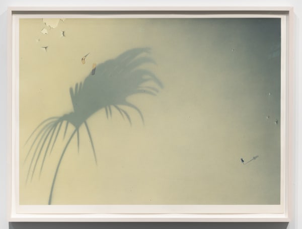 Ching Ho Cheng 郑庆和 , untitled, 1981