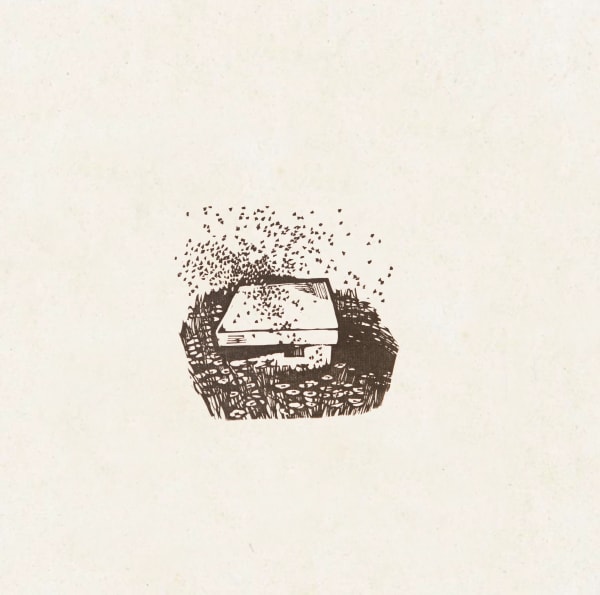 Xu Bing 徐冰, Lawn 芳草地, 1980