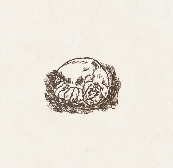 Xu Bing 徐冰, Warmth 暖, 1984