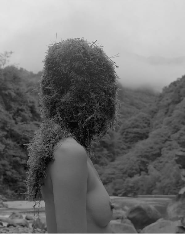 umafang, Old River Valley I 老河沟 1, 2013