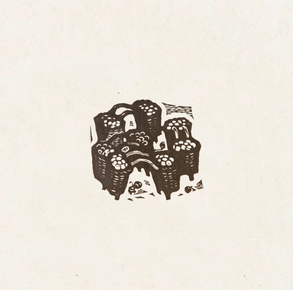 Xu Bing 徐冰, Fruits 果实, 1980