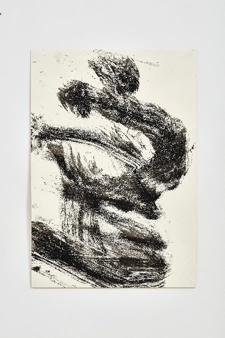 Yahon Chang 张耀煌, Poetry of the Flow -Imperial 流动的诗意-皇