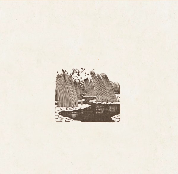 Xu Bing 徐冰, Reed Pond 苇塘, 1979