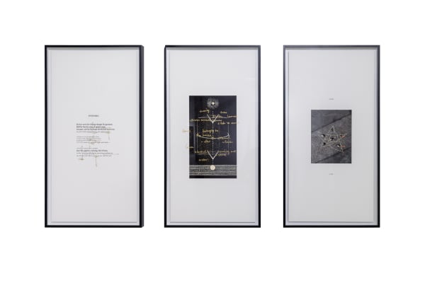 Chen Zhe 陈哲, Study of a Poem by Rainer Maria Rilke 理解一首里尔克的诗, 2012 - 2016