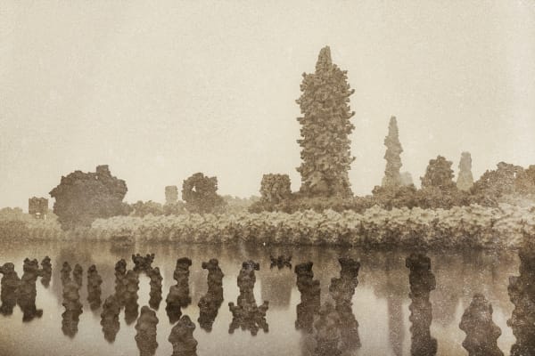 Duyi Han 韩笃一, Pagoda or Archaellum of Methanocaldococcus Villosus 宝塔或绒毛甲烷球菌的古菌鞭毛, 2024