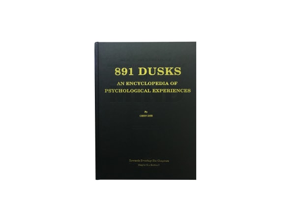 Chen Zhe 陈哲, 891 Dusks: An Encyclopedia of Psychological Experiences 关于891次黄昏心灵活动的百科全书, 2017