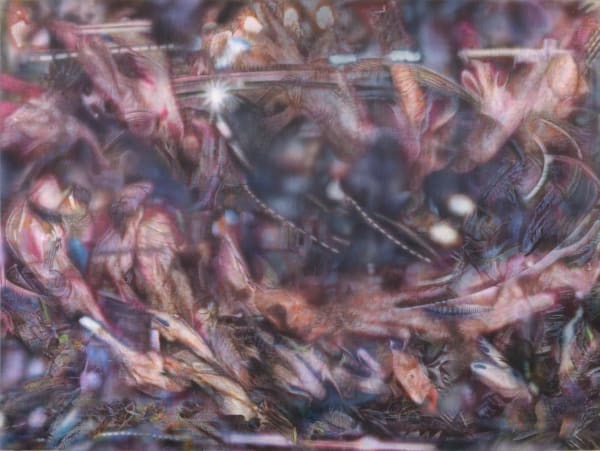 Bai Yiyi 白乂乂, A ring of glittering crowds 闪耀人群组成的环形场域 , 2024