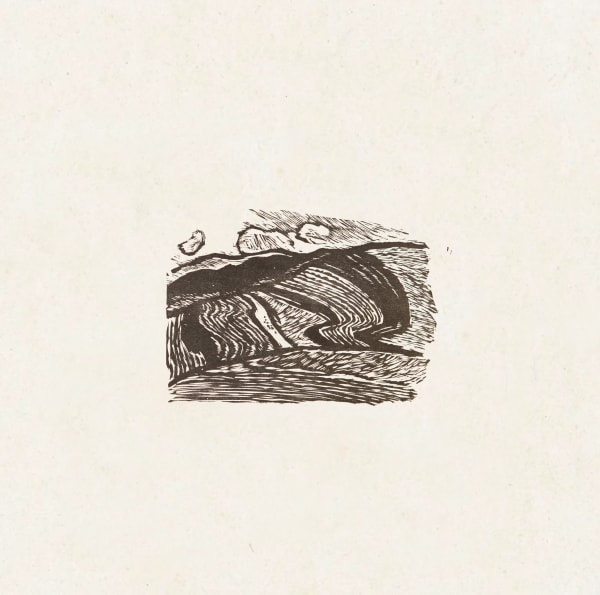 Xu Bing 徐冰, Hills 山地, 1982