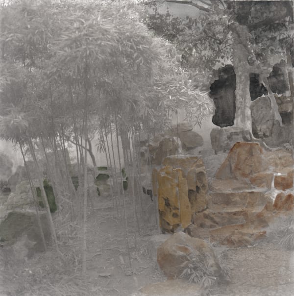 Zhao Gang 赵刚, Paramour’s Garden 6 偶园系列 6, 2013