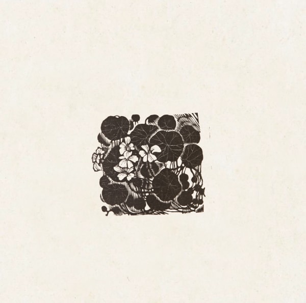 Xu Bing 徐冰, Dry Land Lotus 旱荷花, 1980