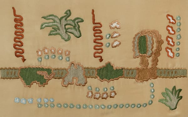 Duyi Han 韩笃一, Light-Dependent Reactions in Photosynthesis 光合作用的光依赖反应, 2024