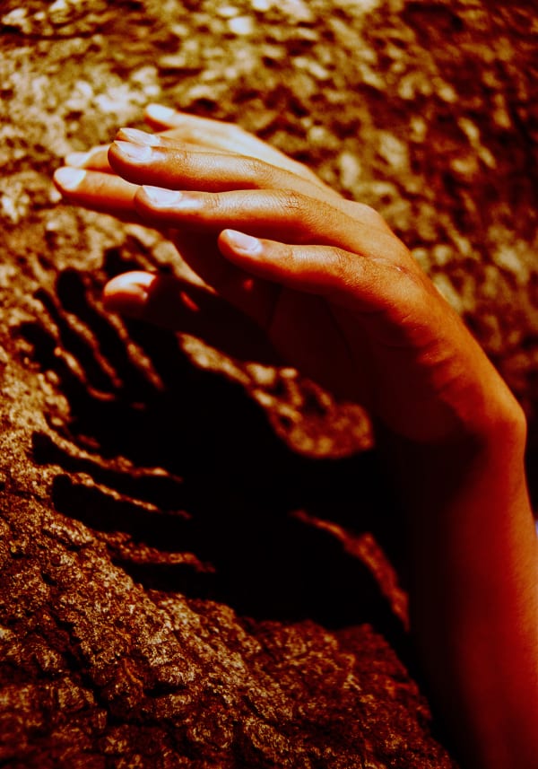 Chen Zhe 陈哲, An Expansion of Kobo Abe’s “The Red Cocoon”, Experiment 2 对《赤之茧》的拓写尝试之二 2, 2101 - 2016