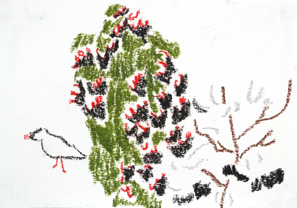 Zheng Haozhong 郑皓中, Tibet 藏地, 2018