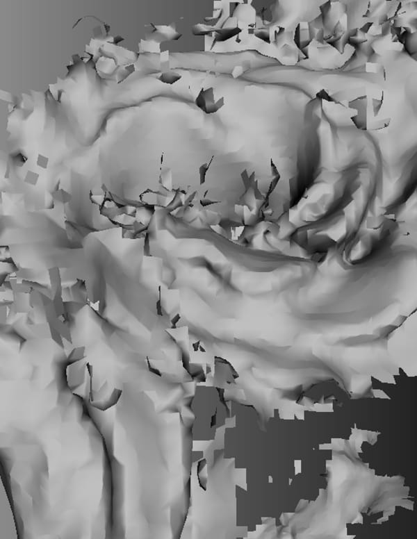 Amy Yao 姚书安, Opt Out, Lisianthus 自愿退出，洋桔梗, 2015