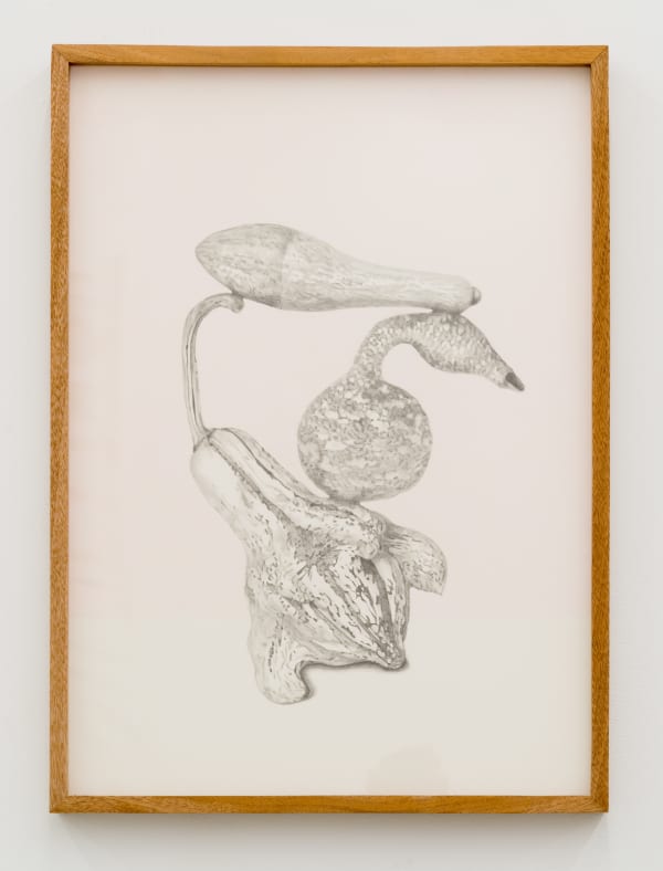 Gala Porras-Kim Gala Porras-Kim, Three joined gourds vessel 三个相连的南瓜导管, 2017