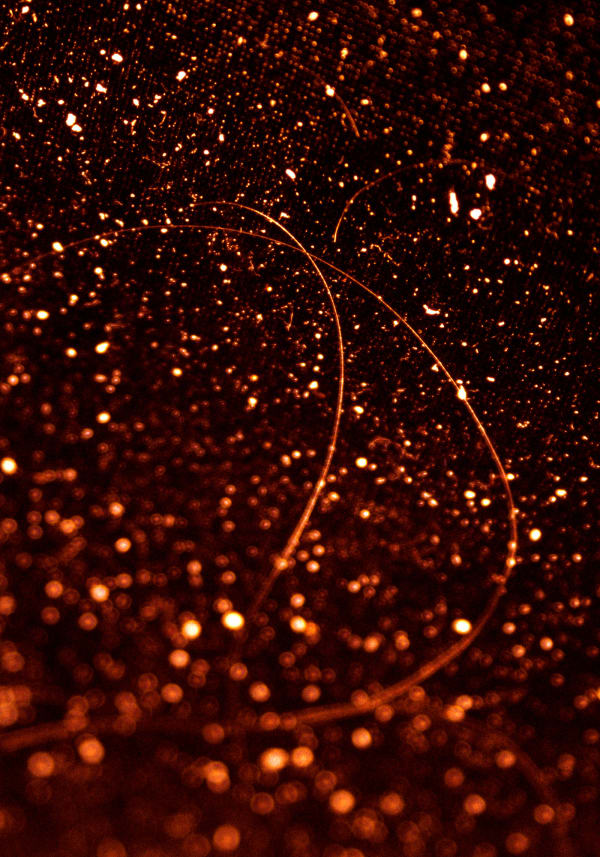 Chen Zhe 陈哲, An Expansion of Kobo Abe’s “The Red Cocoon”, Experiment II 4 对《赤之茧》的拓写尝试之二 4, 2016