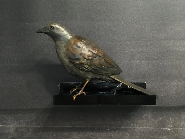 Zhao Gang 赵刚, Bird 鸟, 2011