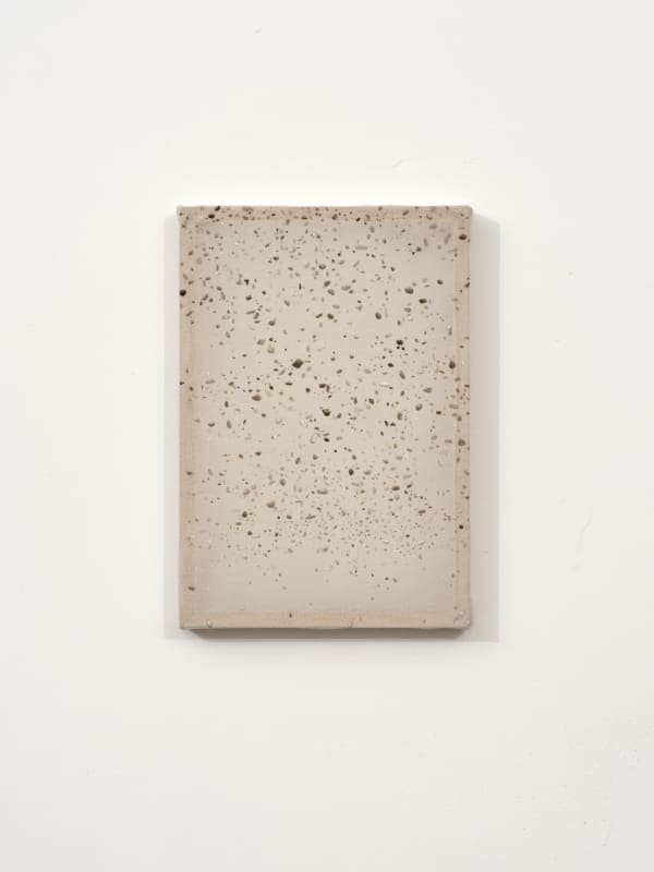 Chen Ruofan 陈若璠, Dust (still frame 227F) 尘 (静帧227F) , 2024