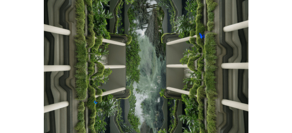 Michael Najjar 迈克尔·耐贾尔, hanging gardens 空中花园, 2023