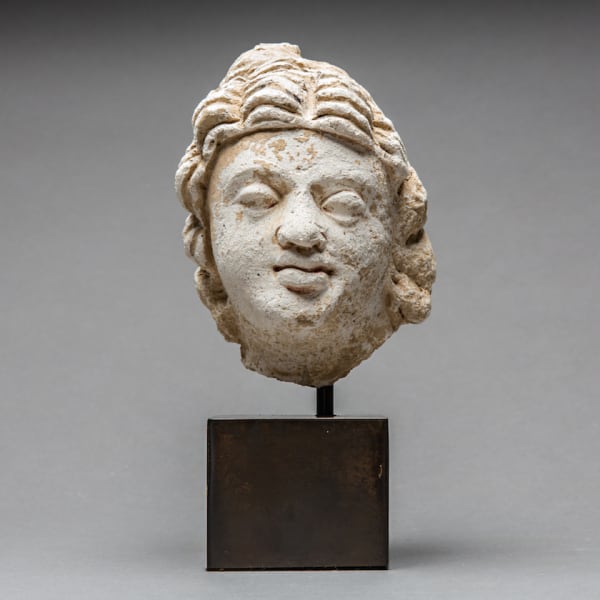 Stucco Sculpture of a Male Head