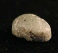 Late Dynastic Period Stone Scaraboid