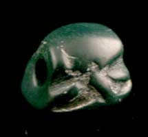 Assyrian Green Jasper Scaraboid Seal