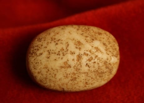 Iron Age Calcite Scaraboid Seal