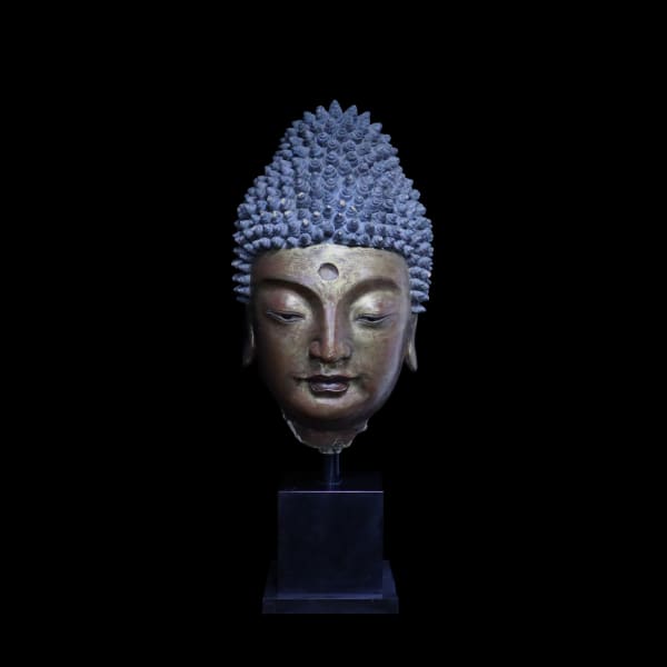 Yuan Dynasty Stucco Buddha Head