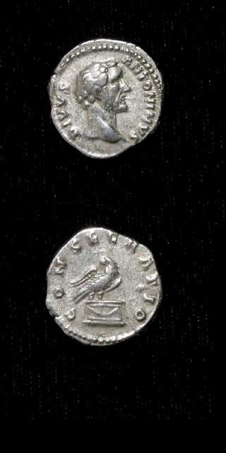 Silver Denarius of Emperor Antoninus Pius Issued Posthumously by Marcus Aurelius and Lucius Verus