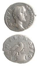 Silver Denarius of Emperor Antoninus Pius Issued Posthumously by Marcus Aurelius and Lucius Verus