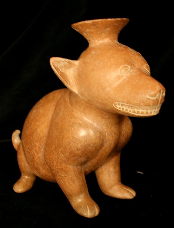 Colima Vessel in the Form of a Dog