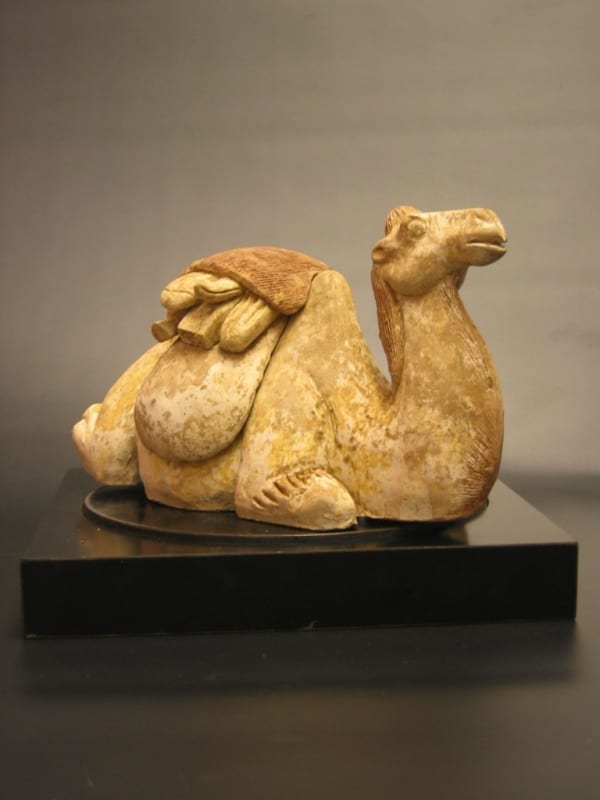 Early Tang Painted Pottery Seated Camel with Detachable Saddle