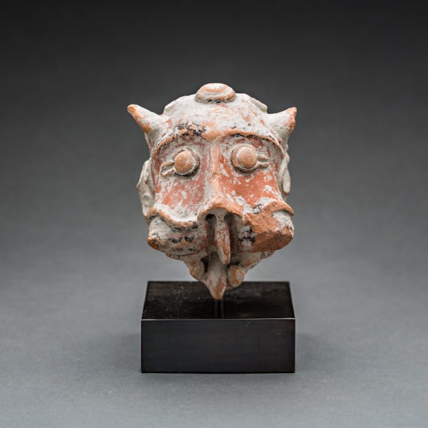 Hellenistic Terracotta Feline Head