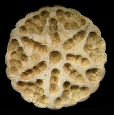 Indus Valley Stone Stamp