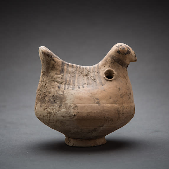 Indus Valley Bird