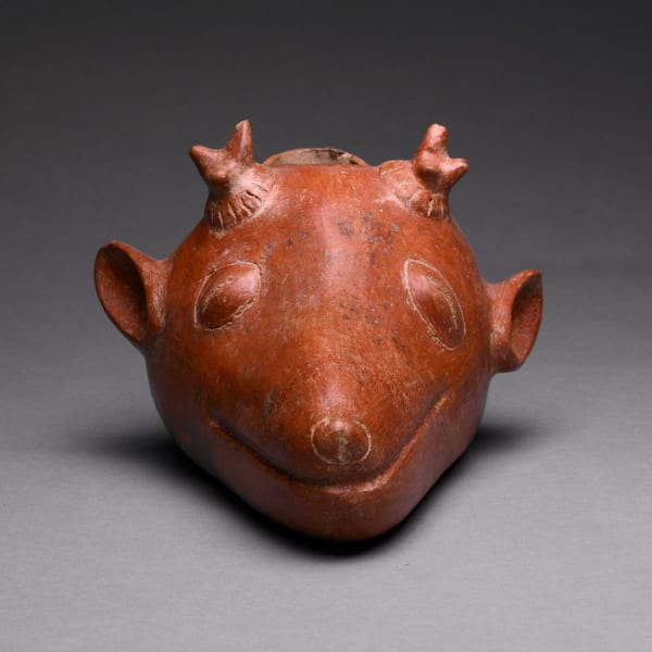 Colima Vessel in the Form of an Animal Head