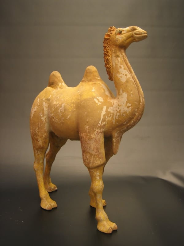 Tang Dynasty Painted Pottery Walking Camel