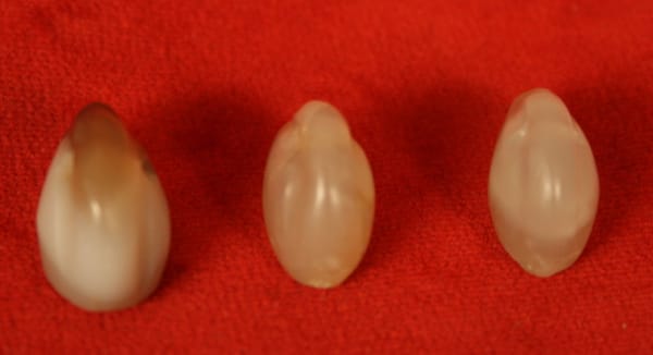 Set of Three Middle/New Kingdom Stone Duck Weights